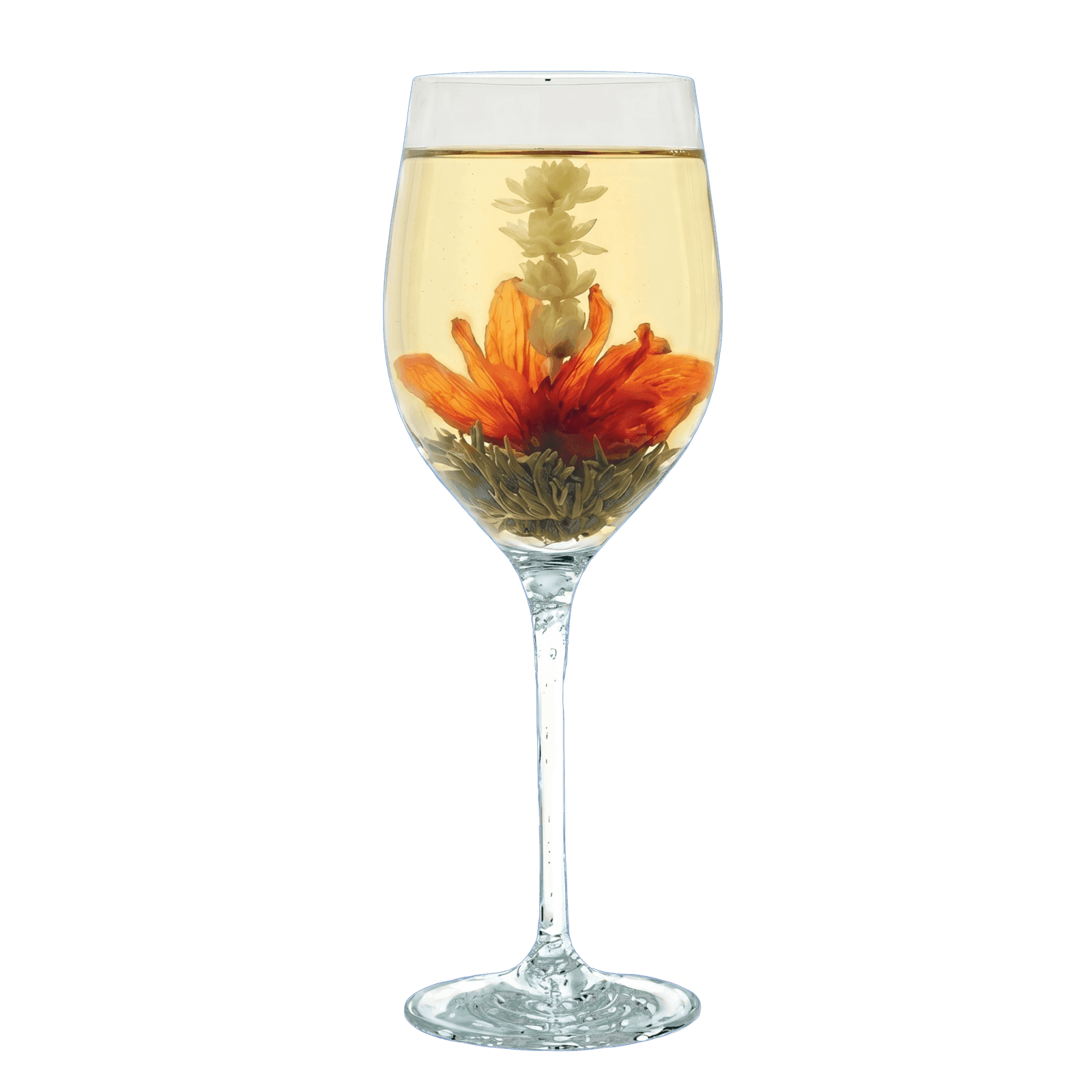 Lily Fairy Flora Tea heart opening into a fairy-like display in a glass